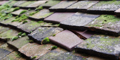 Evesham roof repair costs
